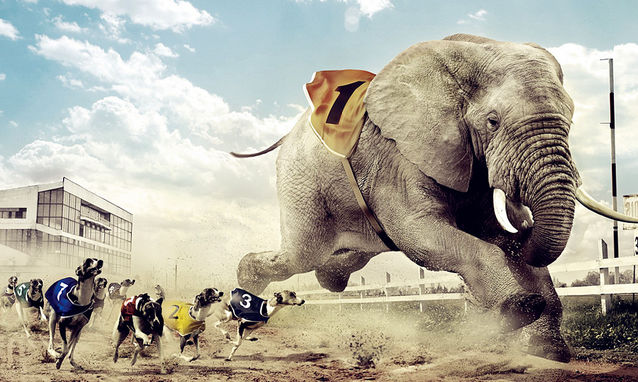 C2B的未来:大数据定制